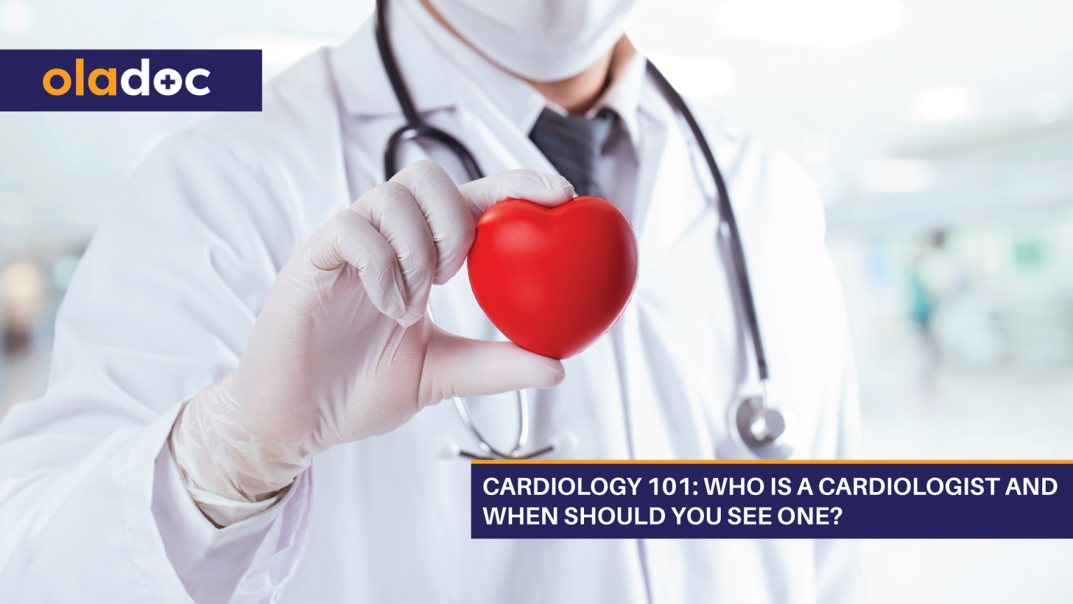 Cardiology 101: Who Is A Cardiologist And When Should You See One ...