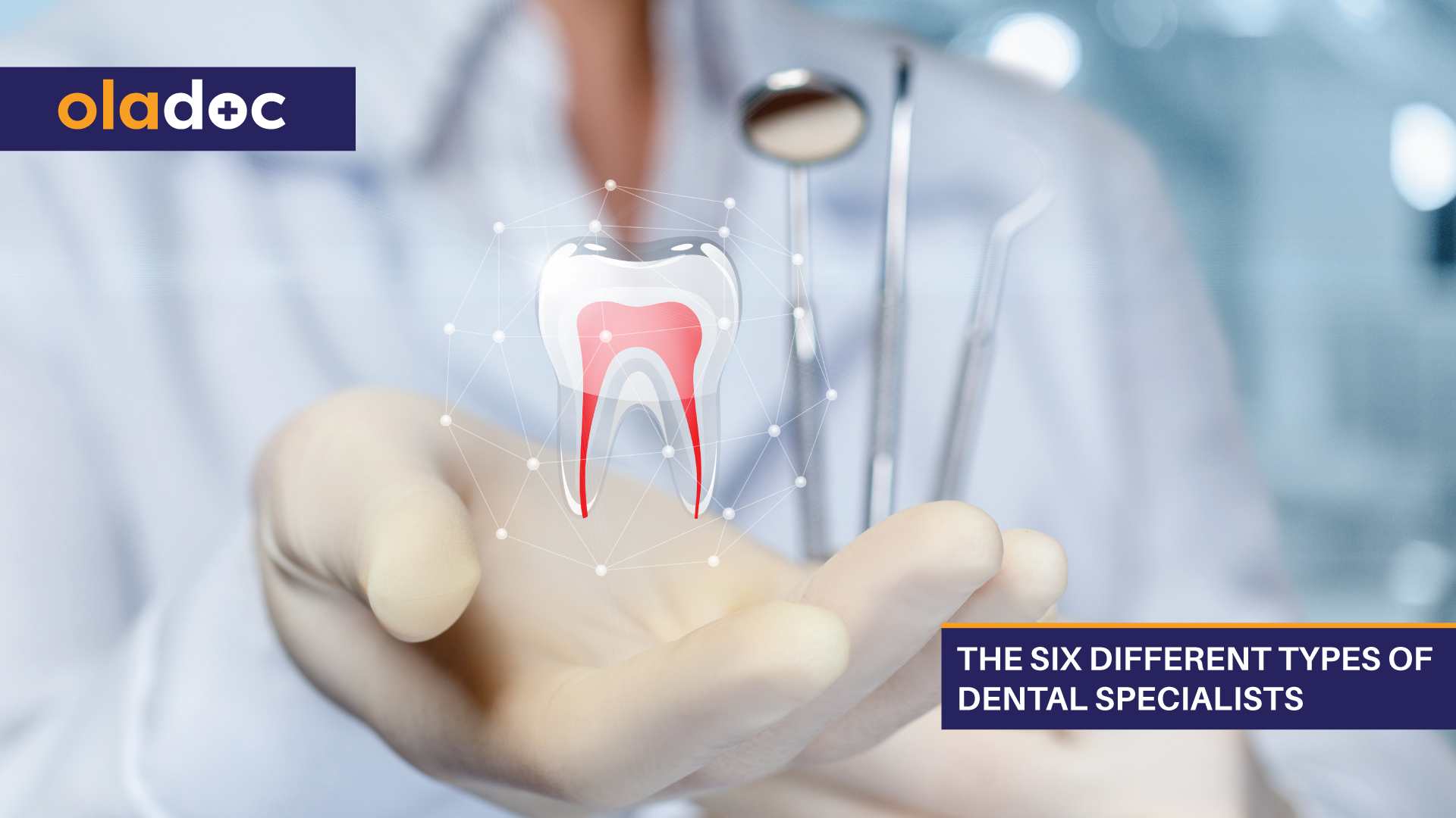 The Six Different Types Of Dental Specialists Teeth and Gums