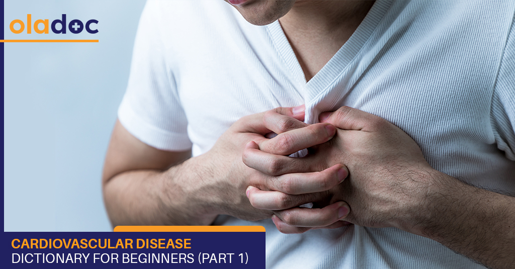 Cardiovascular Disease Dictionary for Beginners (Part 1)