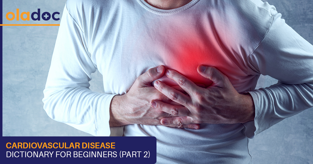 Cardiovascular Disease Dictionary for Beginners (Part 2)