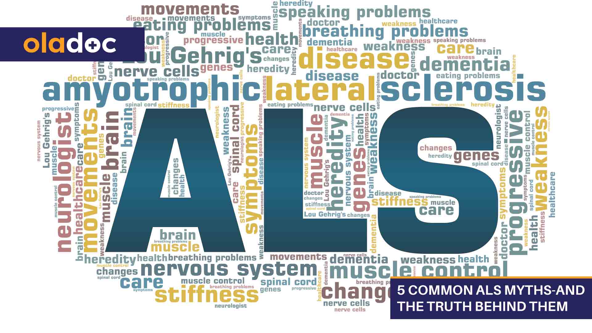 5 Common Als Myths and the Truth Behind Them Brain and Spine