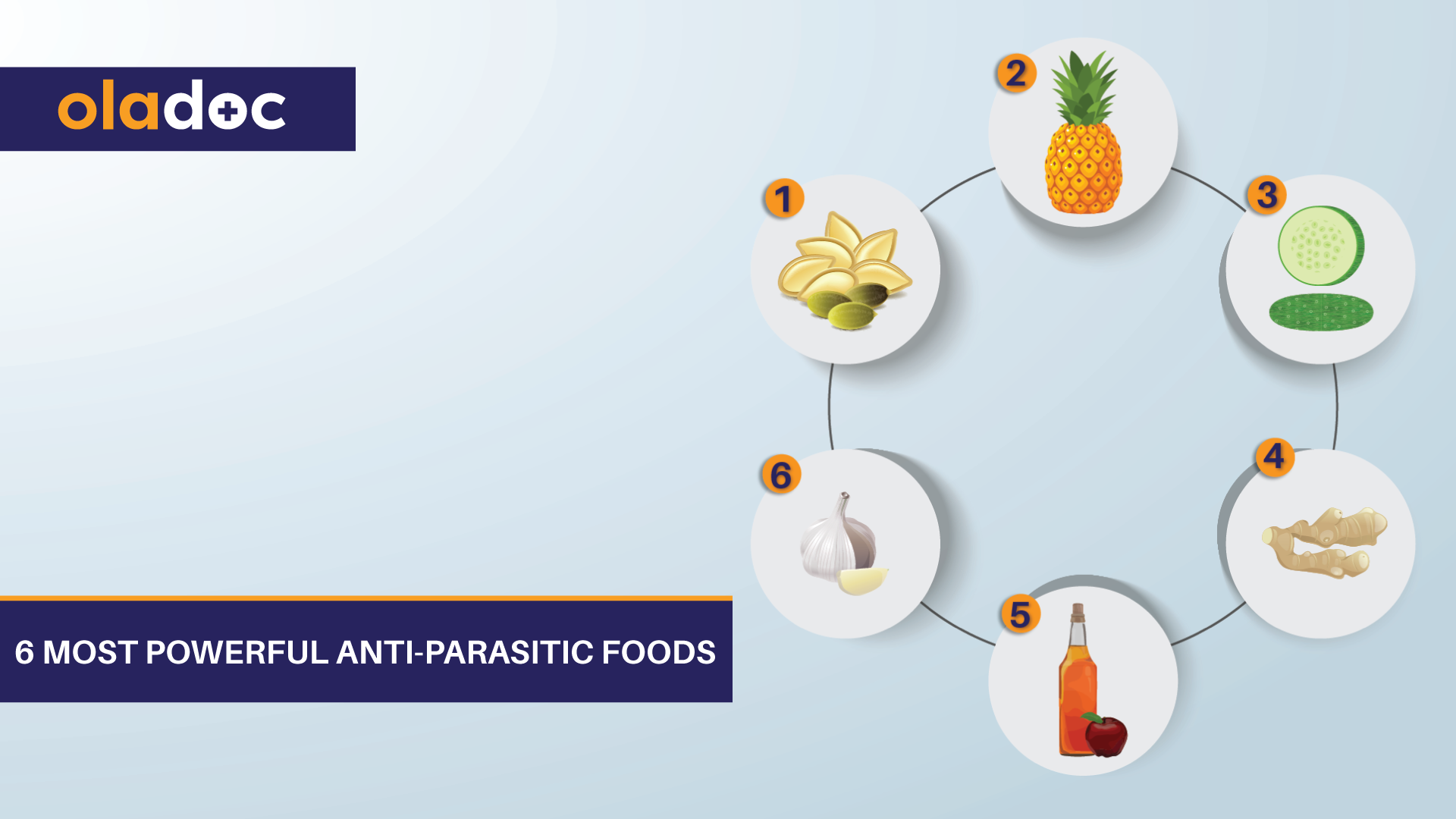 6-Most-Powerful-Anti-Parasitic-Foods | oladoc.com