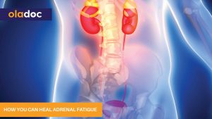 How-You-Can-Heal-Adrenal-Fatigue