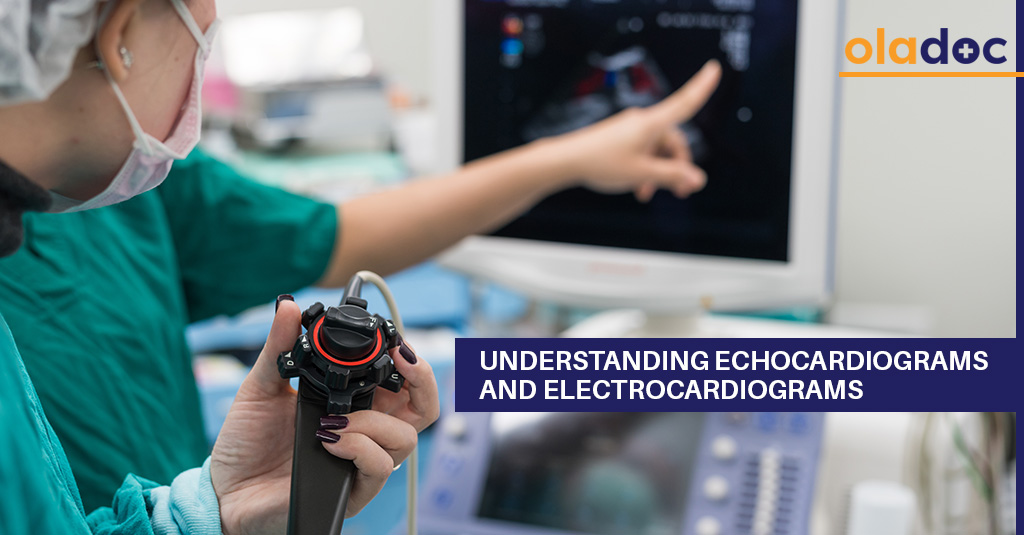 Understanding Echocardiograms and Electrocardiograms