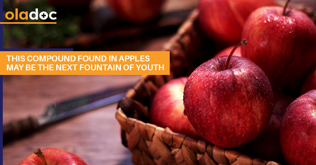This Compound Found in Apples May Be the Next Fountain of Youth