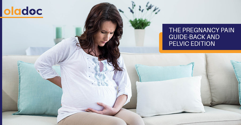 The Pregnancy Pain Guide-Back and Pelvic Edition