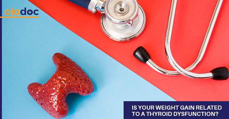 Is Your Weight Gain Related To A Thyroid Dysfunction?
