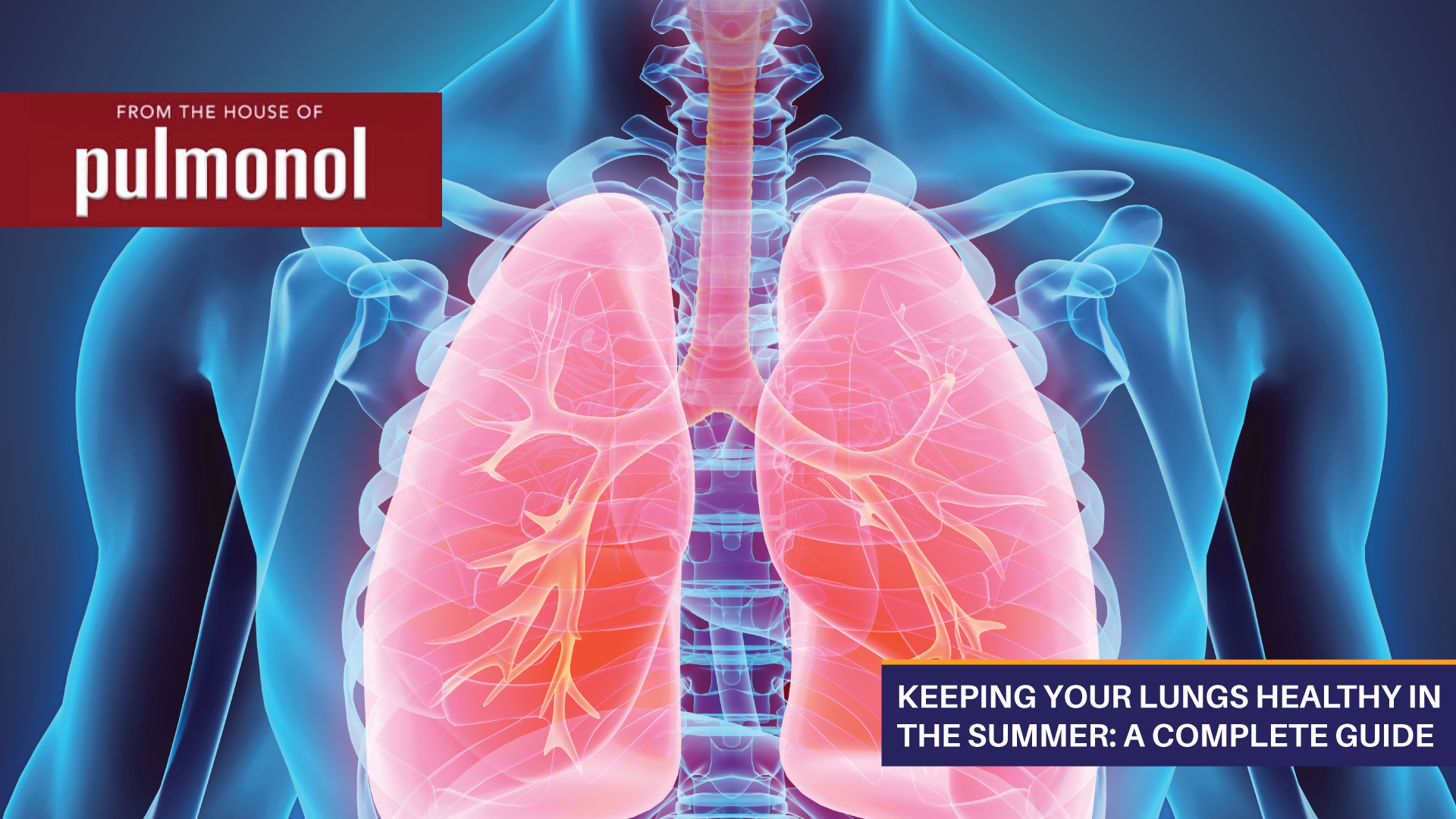 Keeping Your Lungs Healthy In The Summer: A Complete Guide