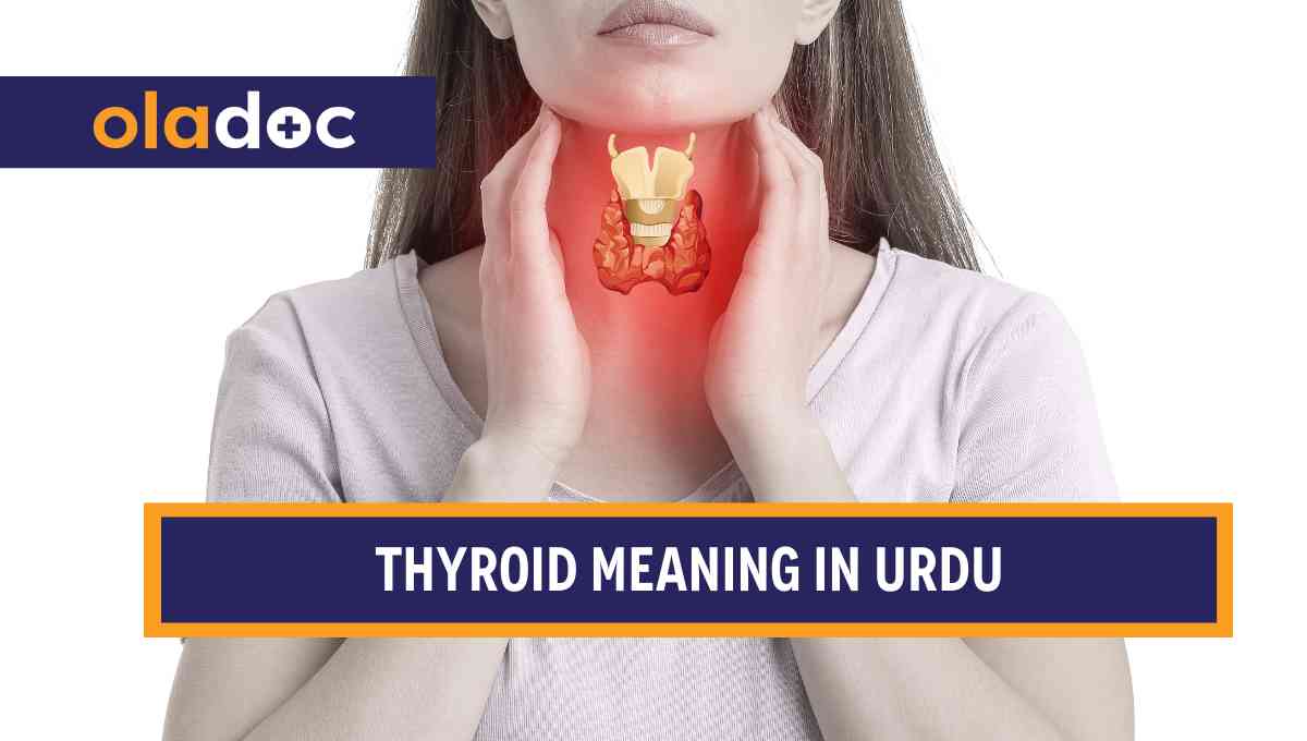 تھائی رائیڈ کی علامات، وجوہات اور علاج - Thyroid Meaning in Urdu