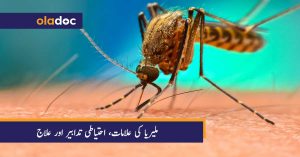 malaria-ki-alamat-aur-ilaj-in-urdu