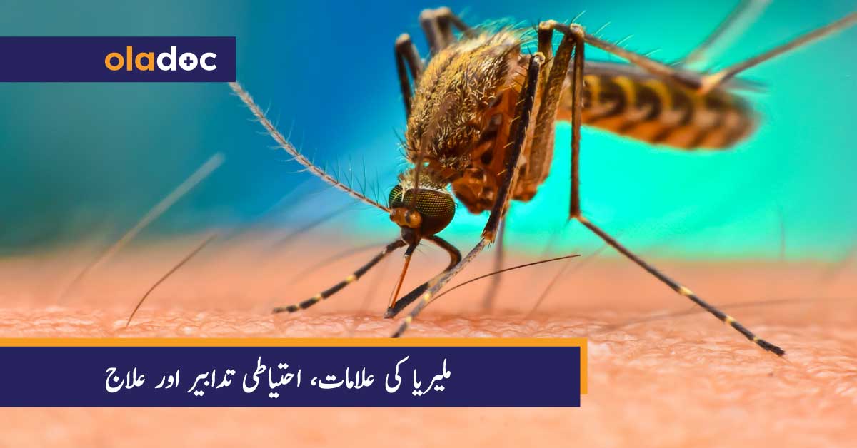 ملیریا کی علامات، احتیاطی تدابیر اور علاج
