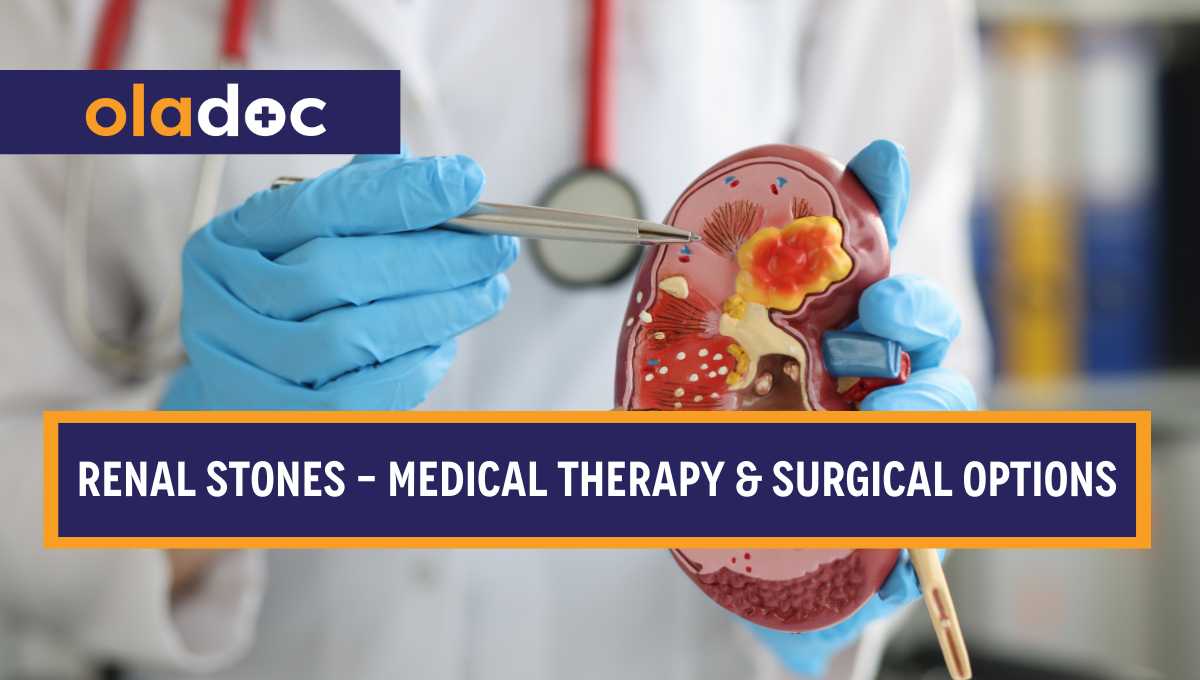 Renal Stones - Medical Therapy and Surgical Options